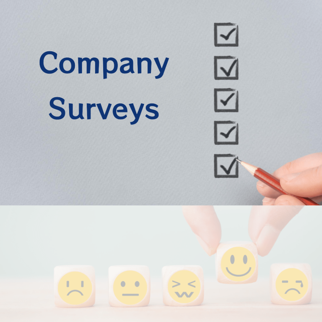 The Truth About Company&nbsp;Surveys
